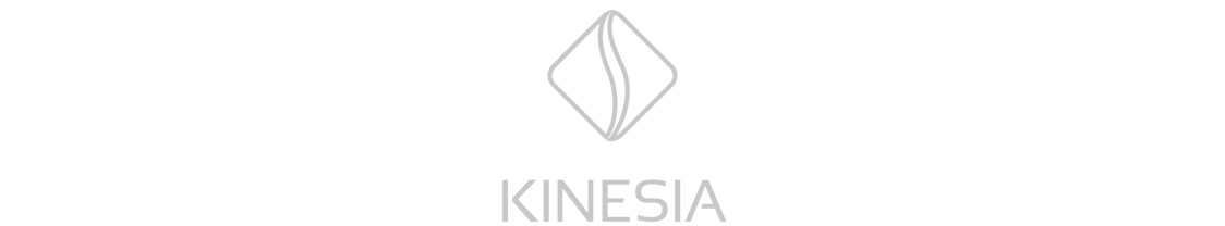 logo kinesia